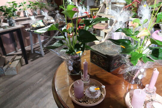 2 stk. planter i krukke samt 2 stk. dekorationer