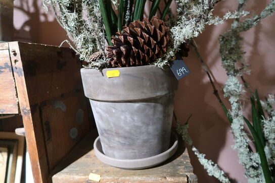 2 stk. planter i krukke