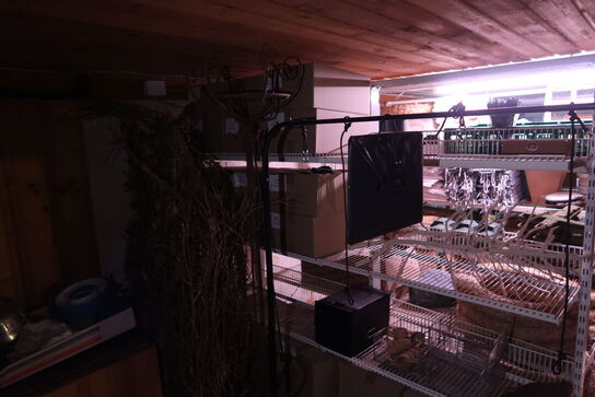 Div. Dele til dekorationer, pyntegenstande, service KONGENS LYNGBY m.m.