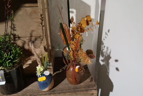 Div. Planter i krukke