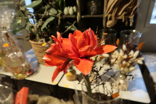 3 stk. gavekurve samt plante i vase