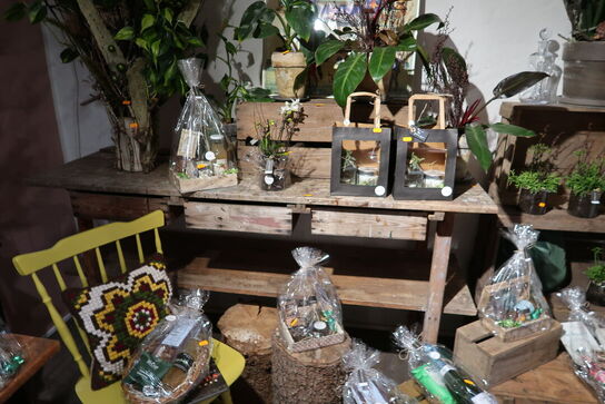 Bord, trækasser, træstubbe uden indhold