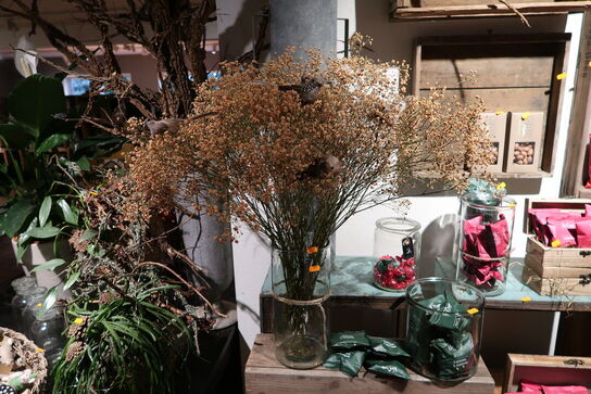 Vase med tørrede blomster