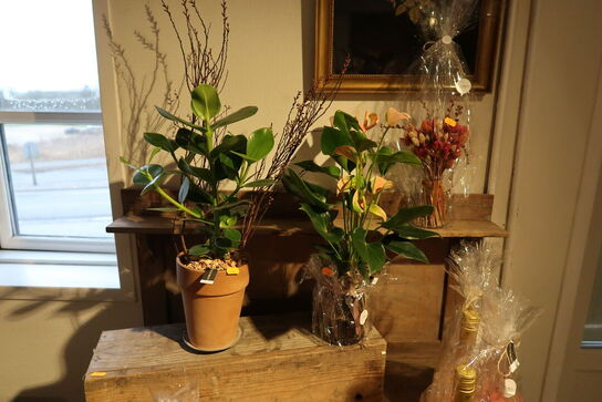 3 stk. blomster i krukke/vase