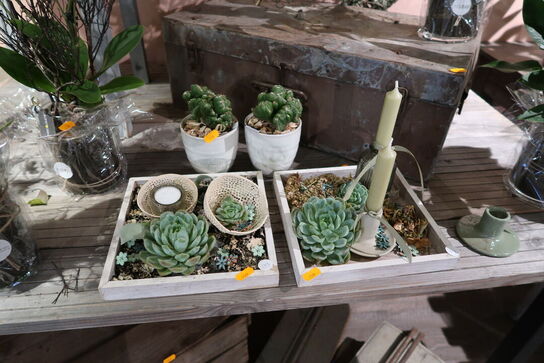 4 stk. dekorationer med stearinlys