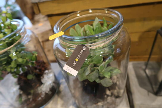 4 stk. planter i vaser