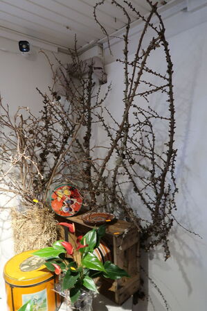 Plante i vase, metalspand, div. Tørrede grene