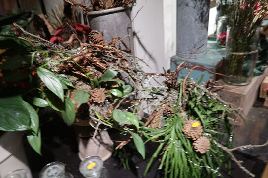 Div. Tørrede grene, pyntegenstande m.m.