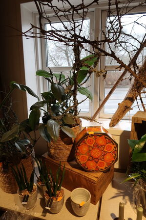 5 stk. planter i kurve/krukke