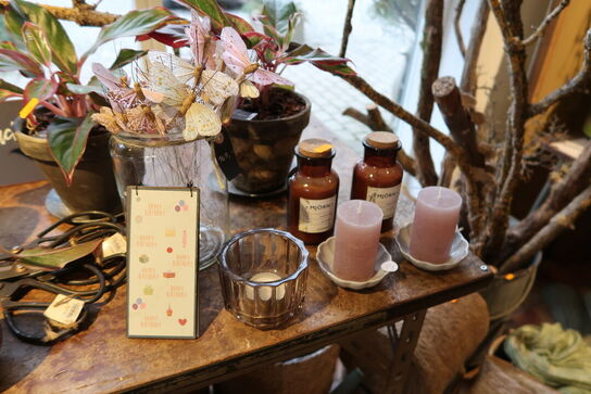 Div. Dekorationer samt planter i krukke