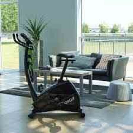 ASG BX1 Motionscykel 