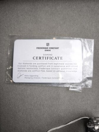 Ur FREDERIQUE CONSTANT Highlife - 34 mm