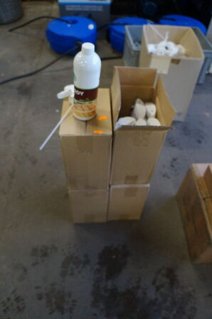 24 dunke trærens WOODY