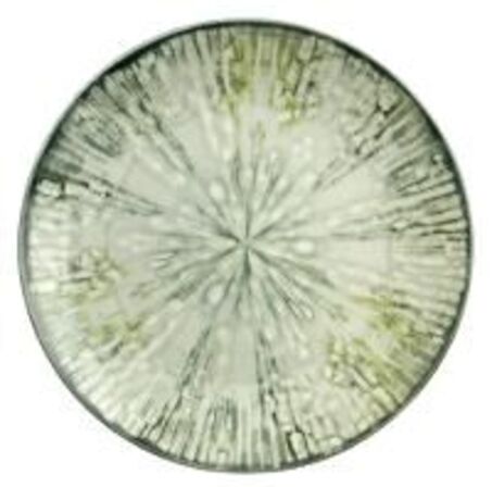 16 stk. Tallerken coupe flad grågrøn 200 mm Fusion Grey