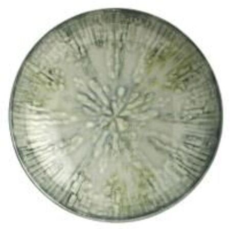 12 stk. Tallerken coupe dyb grågrøn 220 mm Fusion Grey