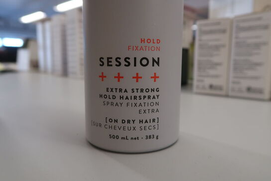 15 stk. Schwarzkopf Osis Session Extra Strong Hold Hairspray