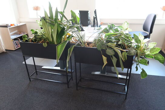2 stk. planter i plantekasser samt vaser