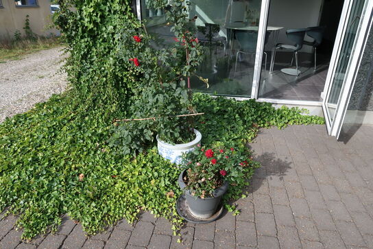 Havebord, 4 stk. havestole samt parasol
