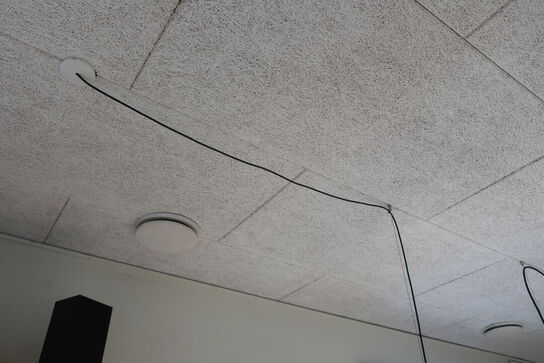 Pendel KOBI LED KOLINE 