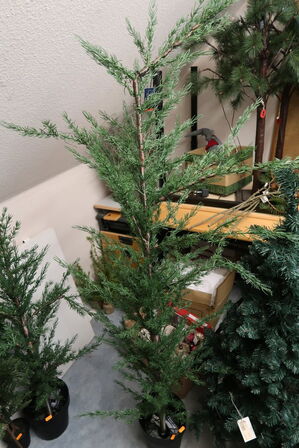 Juletræ SIRIUS Milas Cedertræ