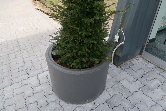 Krukke med juletræ SIRIUS