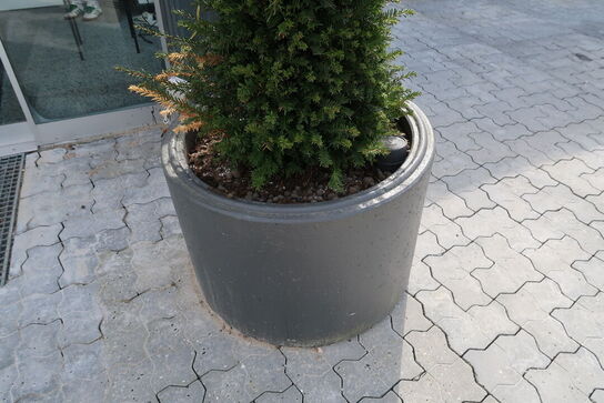 Krukke med juletræ SIRIUS