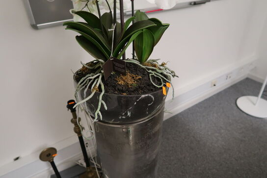 Kunstig plante i vase