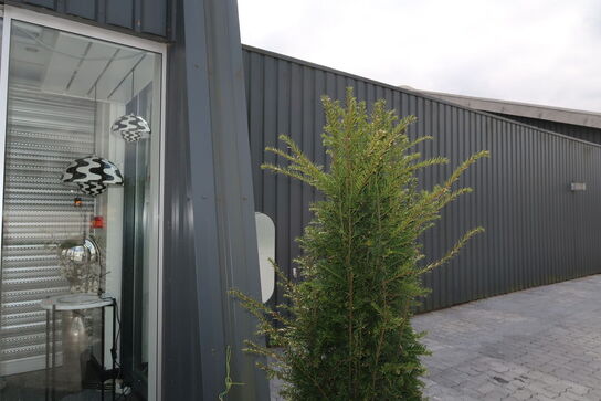 Krukke med juletræ SIRIUS