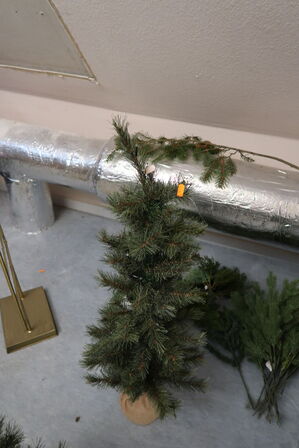 Juletræ samt div. Grene