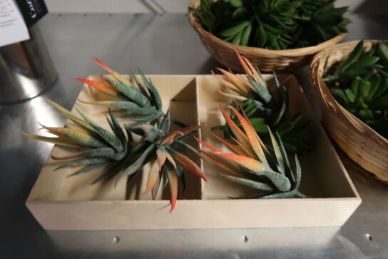 Diverse kunstige planter 