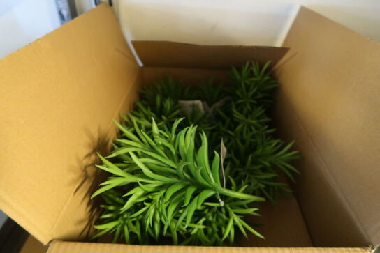 12 stk. Kunstige planter