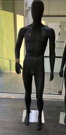 Herre Mannequin