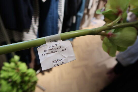 Kasse med div. Kunstige blomster