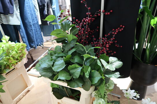 Kasse med div. Kunstige blomster