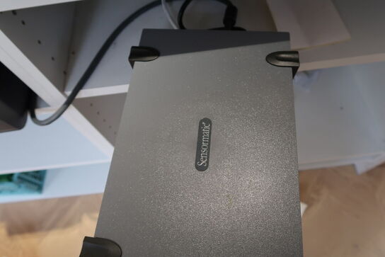 Tyverialarm SENSORMATIC