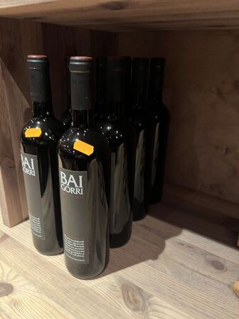 8 fl. BAI GORRI - RIOJA RESERVA 2006