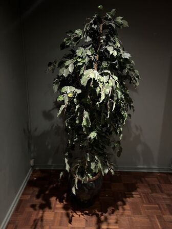 3 stk. indramninger samt kunstig plante i krukke