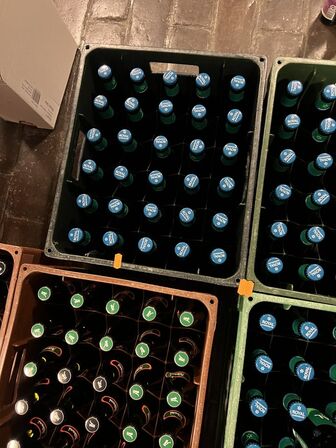 8 ks. blandet øl bl.a. ALBANI