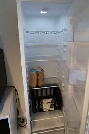 Køleskab BLOMBERG L54315