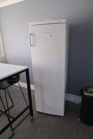 Køleskab SCANDOMESTIC SKS365-1A+