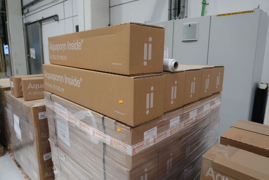 31 stk. CLEAR Plus FR 8040/N AQUAPORIN Inside