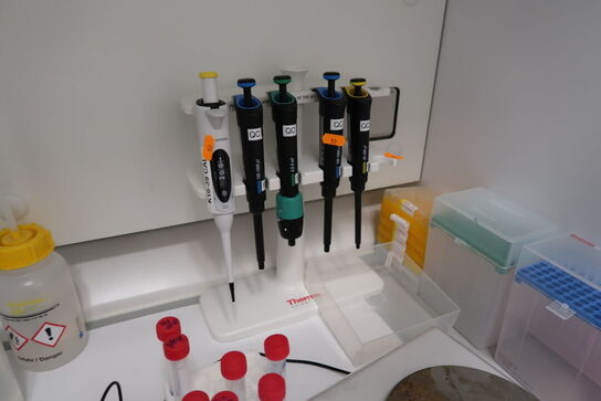 Stativ med 5 stk. pipetter THERMO SCIENTIFIC