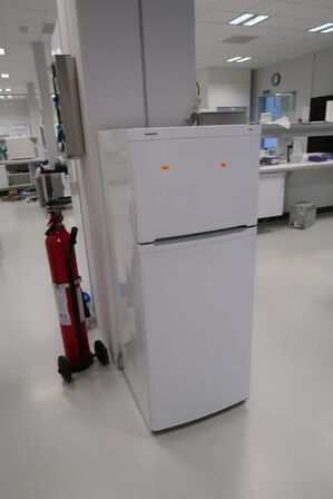 Køle/fryseskab SIEMENS uden indhold