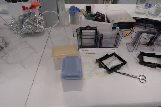 2 stk. kamre INVITROGEN bl.a. Mini Gel tank