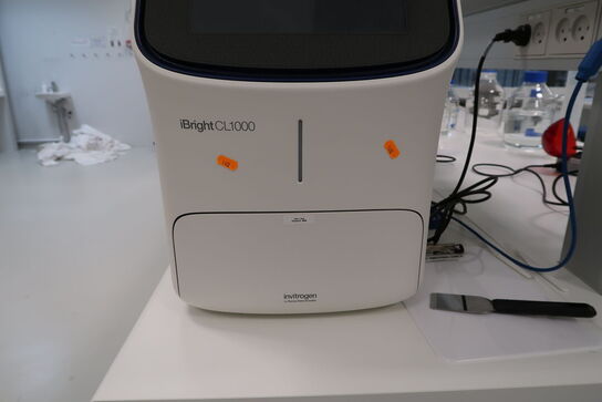 Imaging system INVITROGEN IBRIGHT CL1000