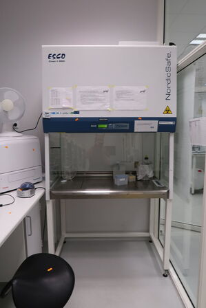 LAF-Bænk NORDICSAFE Esco Class II BSC