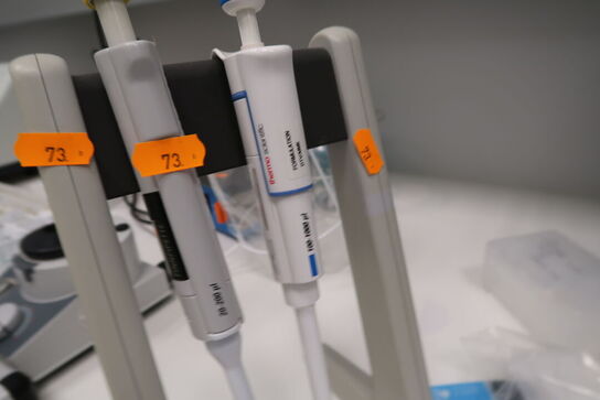 Stativ med 2 stk. pipetter THERMO SCIENTIFIC