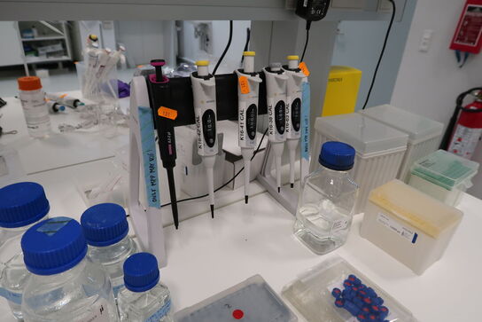 Stativ med 5 stk. pipetter THERMO SCIENTIFIC, SARTORIUS