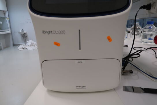 Imaging system INVITROGEN IBRIGHT CL1000