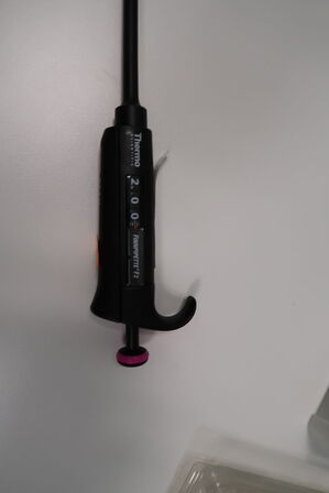 Stativ med 5 stk. pipetter THERMO SCIENTIFIC, SARTORIUS